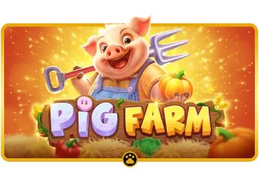 55993bet
