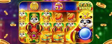 55993bet