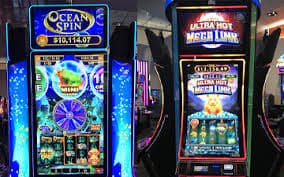 55993bet