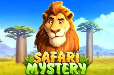 55993bet