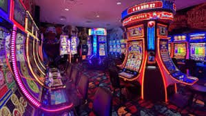 55993bet