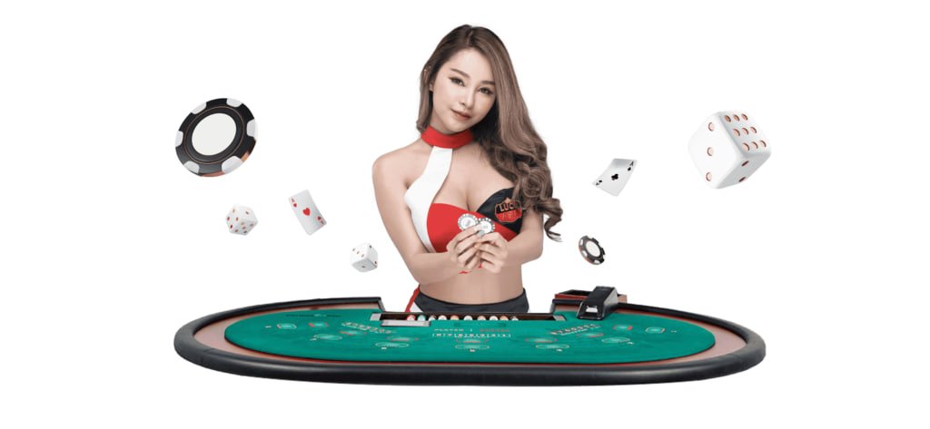 55993bet